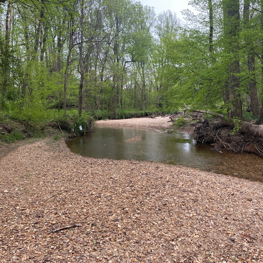 Meet your Posher, Shayla